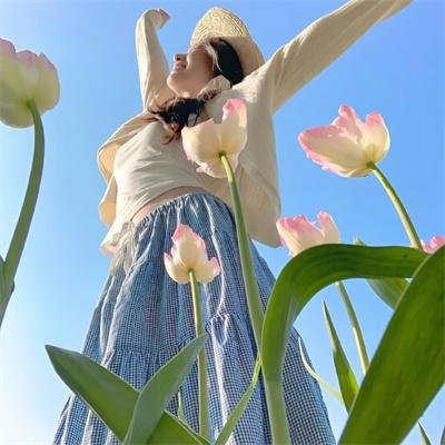 愤怒的小鸟