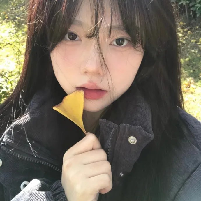 大师的菜
